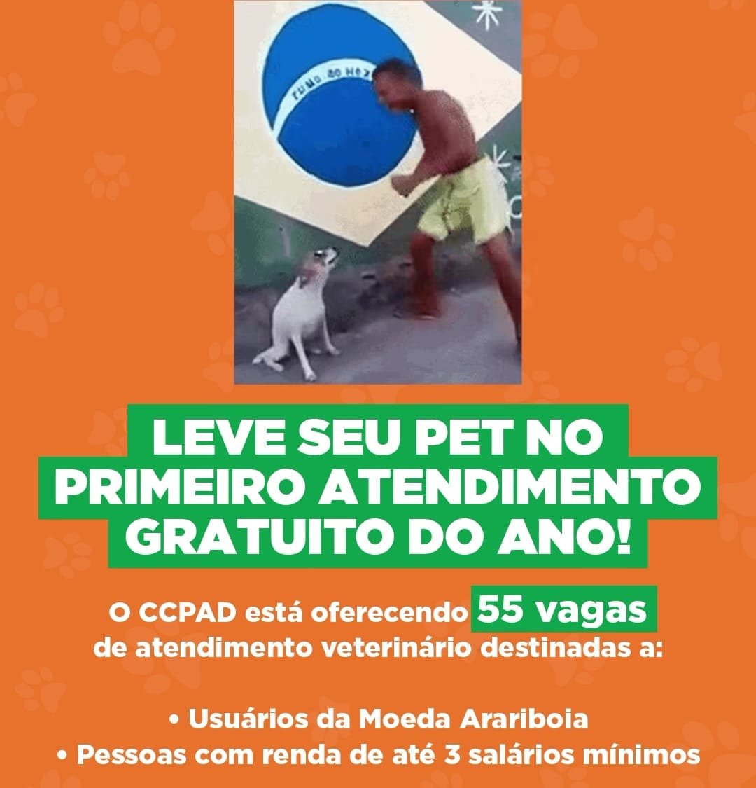 Ação entre a UFF e a Coordenadoria dos Direitos dos Animais abre vagas para atendimentos públicos